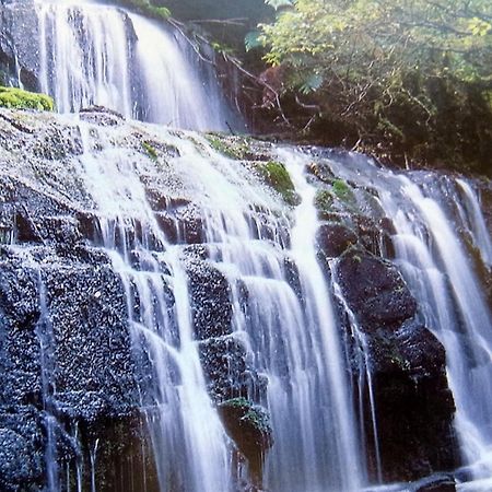 113 On Park Bed & Breakfast Winton Luaran gambar