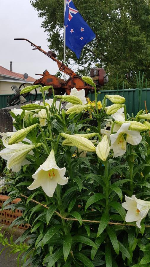 113 On Park Bed & Breakfast Winton Luaran gambar